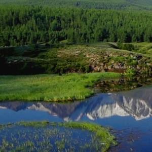 Meet your Posher, Abel